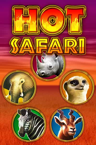 Hot Safari